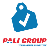 Pali group