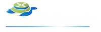 Slow networks, inc.