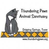 Thundering paws animal sanctuary