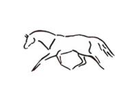 Virginia equine imaging