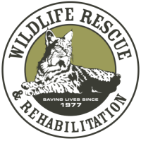 Animal rescue and rehabilitation coalition