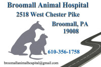 Broomall animal hospital