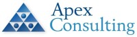 The apex consulting group