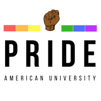 American university queers and allies