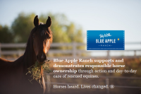 Blue apple ranch