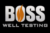 Boss well testing, l.l.c.