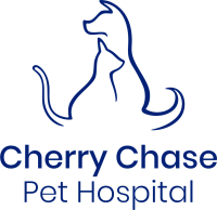 Cherry chase dental