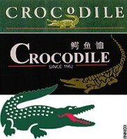 Crocodiles international