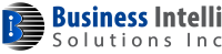 Business Intelli solutions