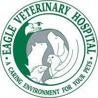 Eagle veterinary hospital
