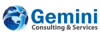 Gemini professional services, inc.
