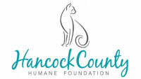 Hancock county animal shelter