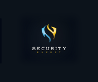 Precision Security Agency