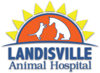 Landisville animal hospital