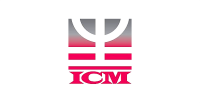 ICM Consulting Corp.