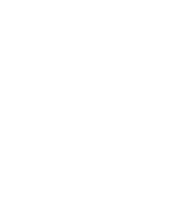 Native wellness institute
