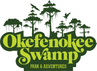 Okefenokee swamp park