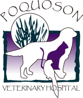 Poquoson veterinary hospital