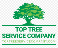 To the top tree service