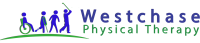 Westchase physical therapy, medical supply & pharmacy