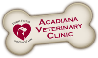 Acadiana veterinary clinic