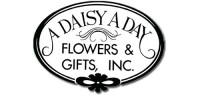 A daisy a day