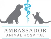 Ambassador animal hospital pc