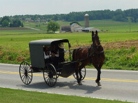 Amish group inc