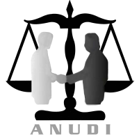 Asociación para las naciones unidas y el derecho internacional (anudi)