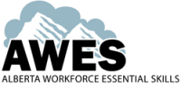 The awes agency, inc