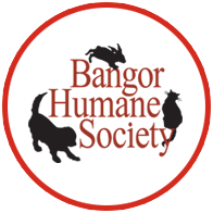 Bangor humane society