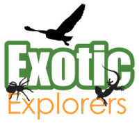 Exotic Explorers