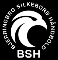 Bjerringbro-silkeborg elitehåndbold