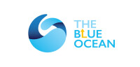 Blue ocean analysis group