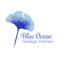 Blue ocean software