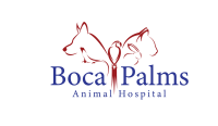 Boca veterinary clinic
