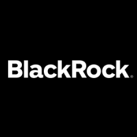 Black rock web
