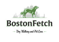 Boston fetch