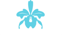 Advanced dental restorations