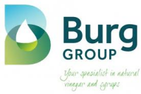 Burg consulting corporation