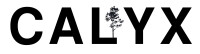 Calyx design group, llc landscape architecture
