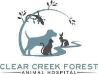 Clear creek pet care