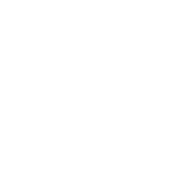 Conquest kettlebell