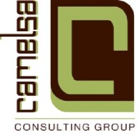 Camelsa Consulting Group