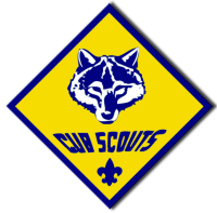 Cub scout