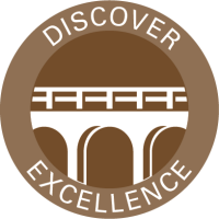 Discover excellence llc