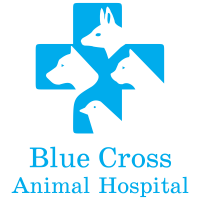 Bluecross animal care