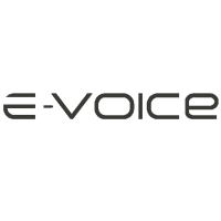 E-voice marketing