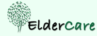 Eldercare companions