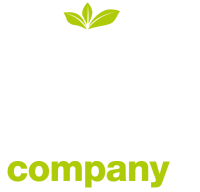 Fresh food